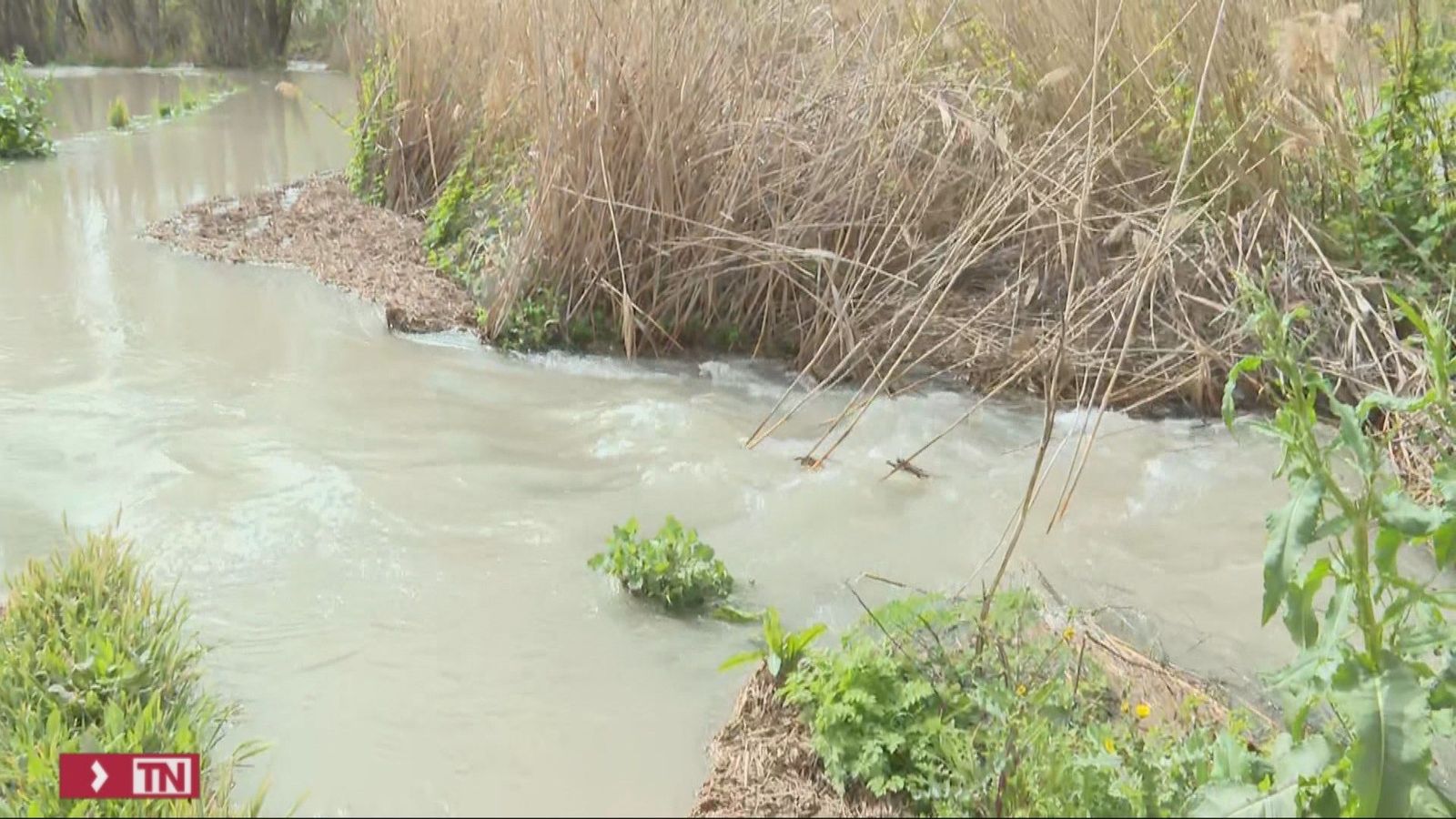 Campos anegados en Tielmes por la crecida del rio Tajuña
