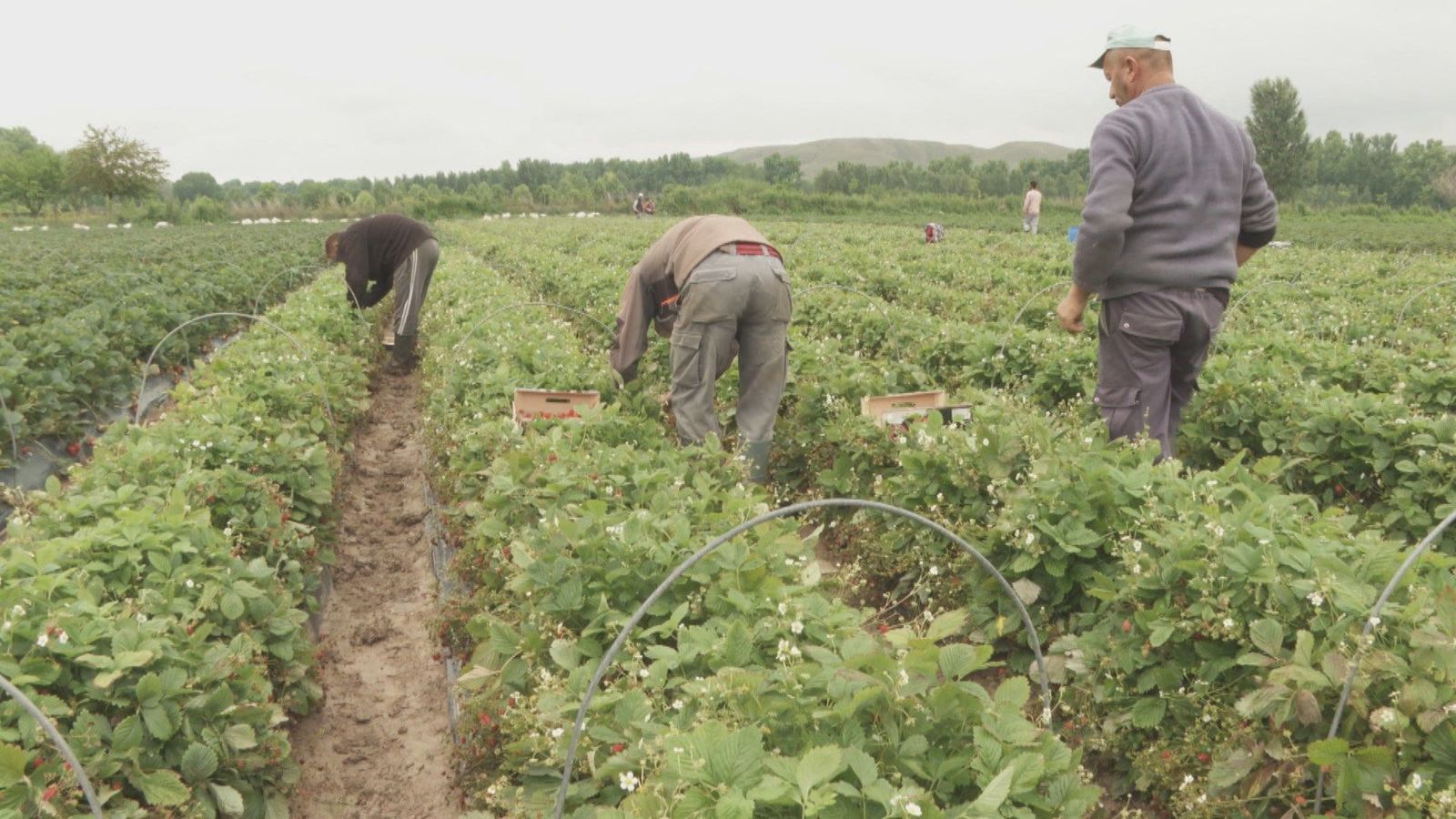 La negociación entre Trabajo y Hacienda para que el salario mínimo no pague IRPF sigue encallada
