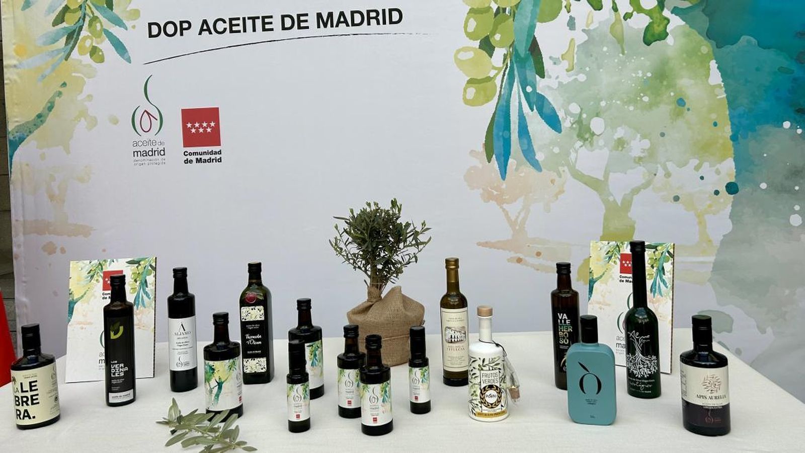 Aceite de Madrid