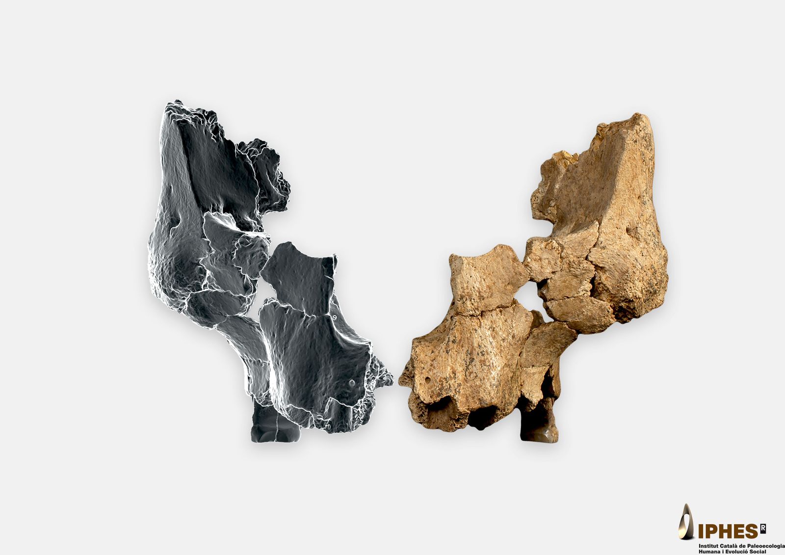Atapuerca muestra al mundo la cara de uno de los primeros europeos