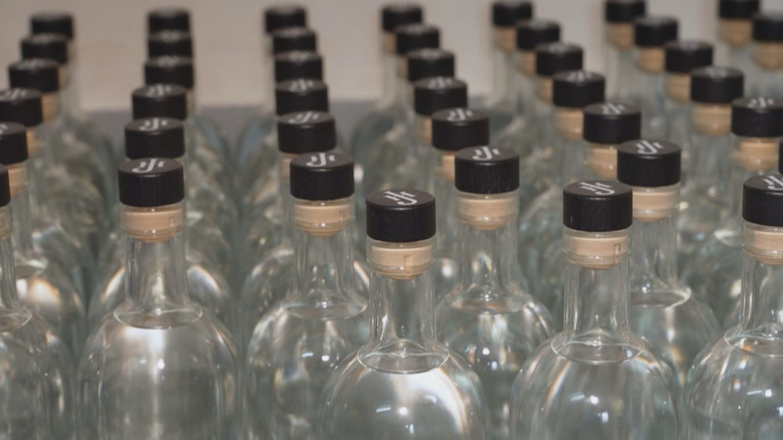 Cantueso, enebro y agua de la sierra: así se elabora la ginebra madrileña de Los Molinos