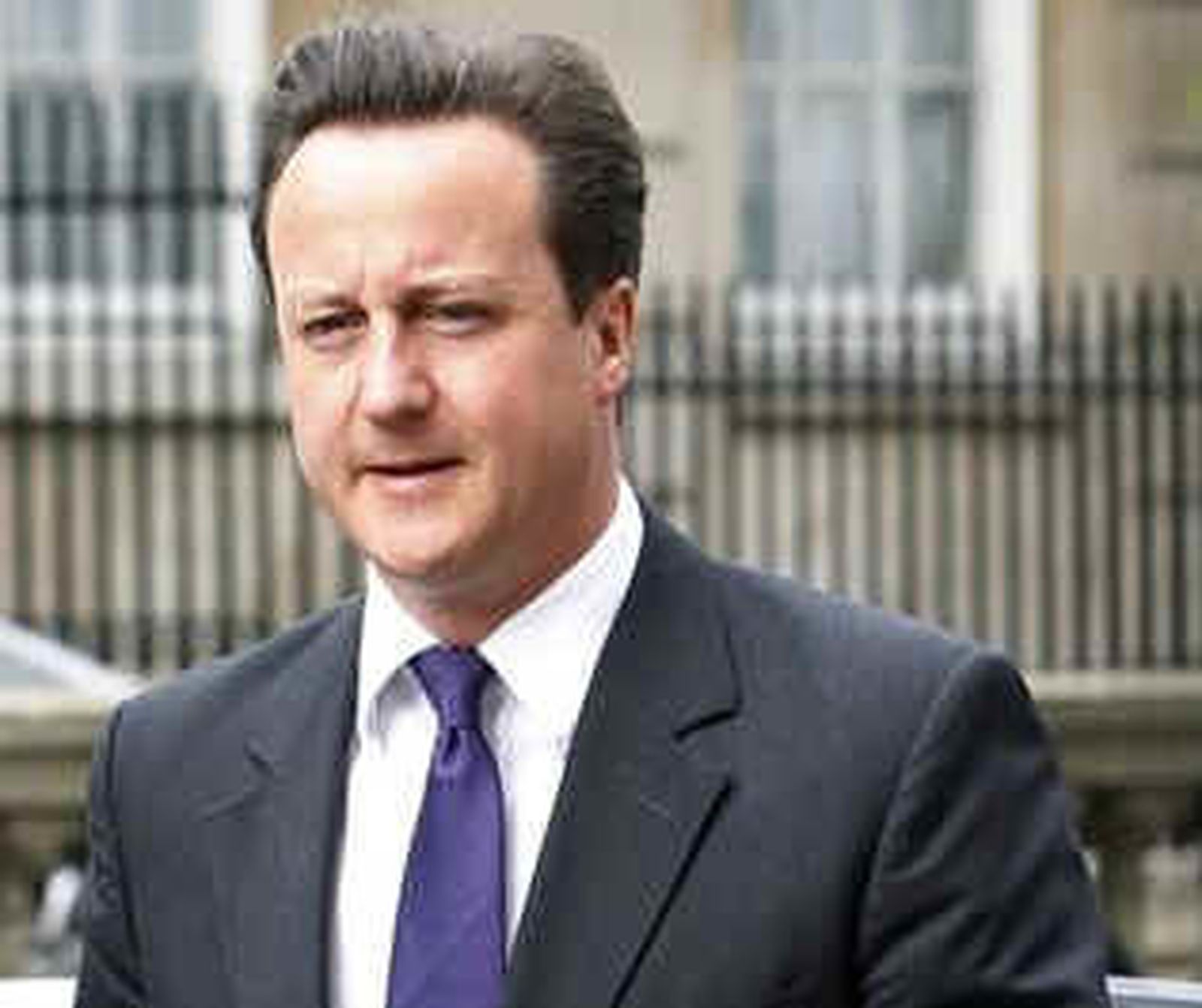 cameron hoy