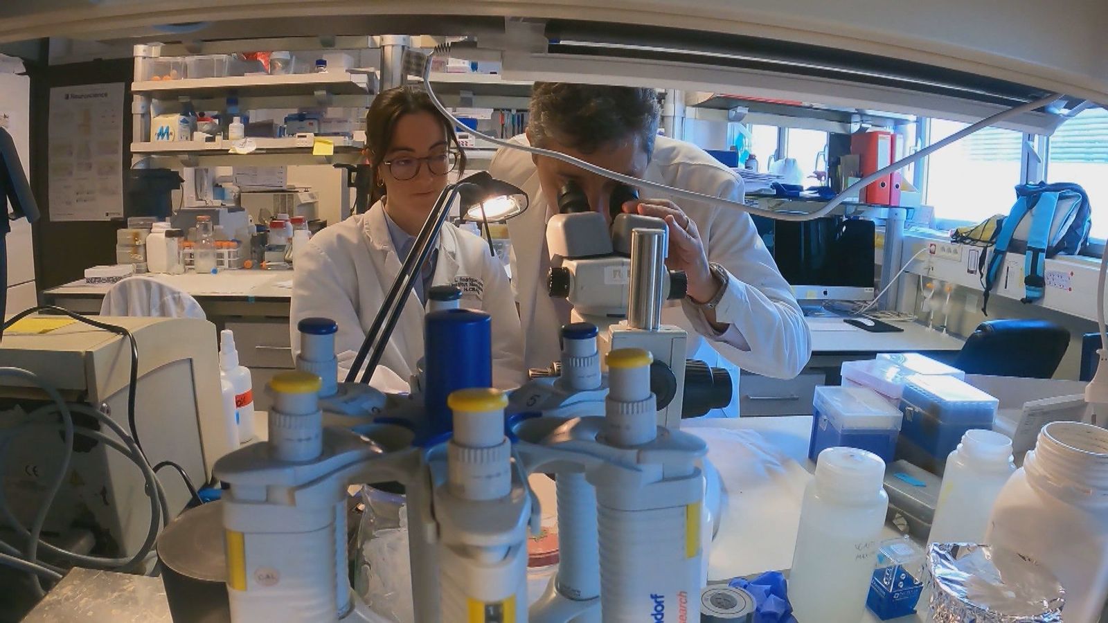 Una esperanza para Abril: este tratamiento podría revertir los efectos de la paraplejia espástica