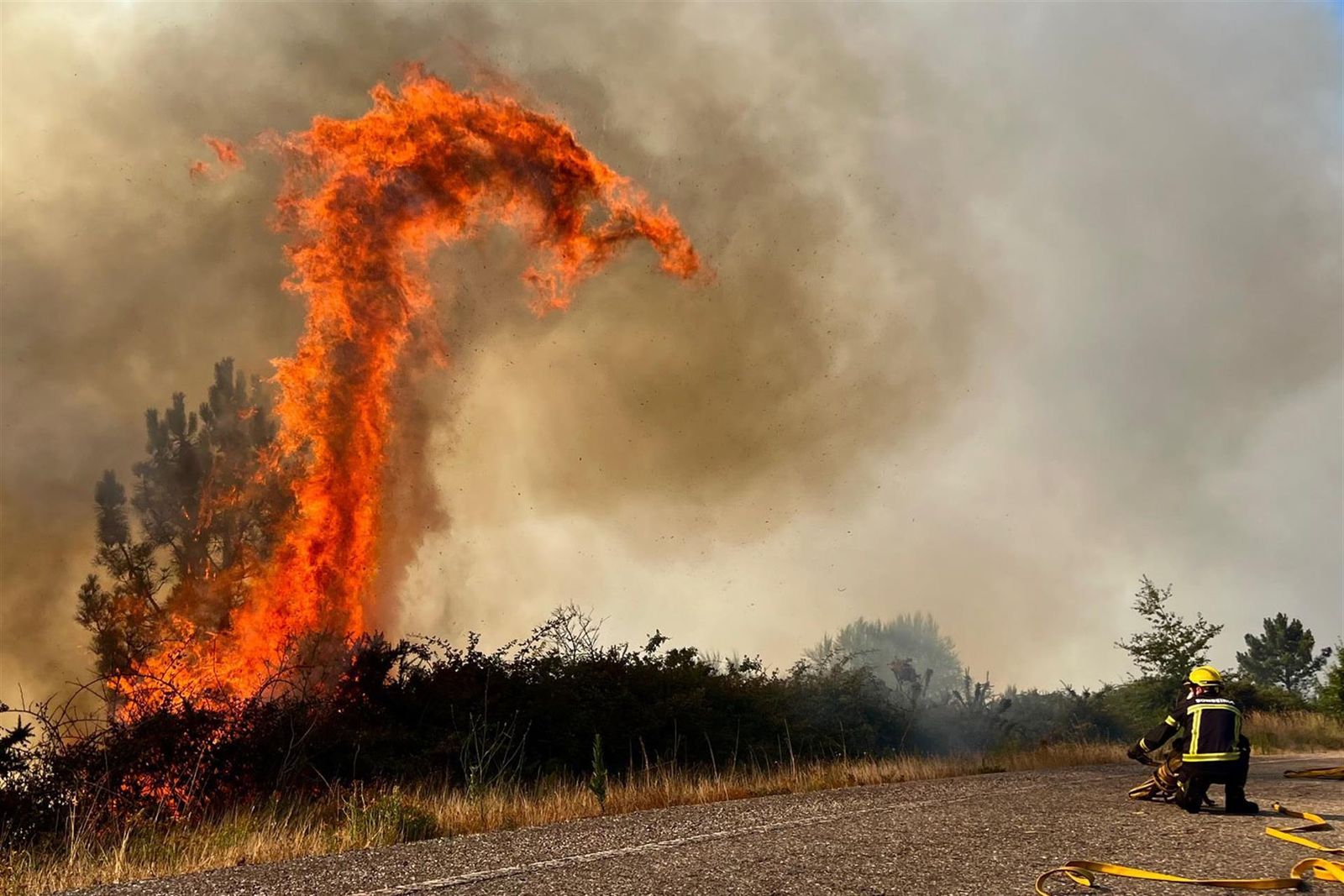 Efectivos de bomberos trabajan en la extinción de un incendio forestal en la carretera N120, en A Cañiza (Pontevedra)
