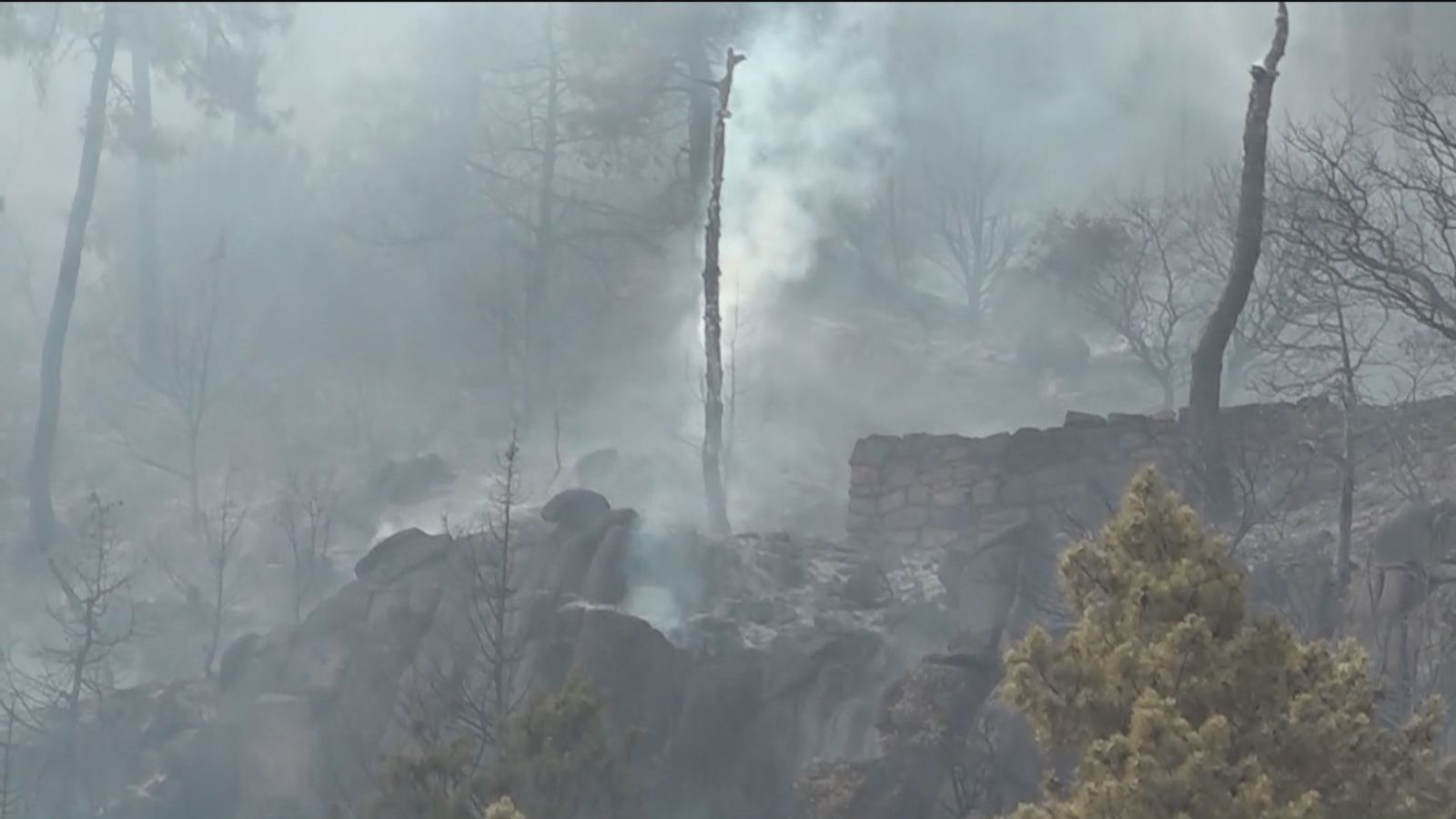 Arden por ahora más de 50 hectáreas de pinar en el monte de Collado Mediano