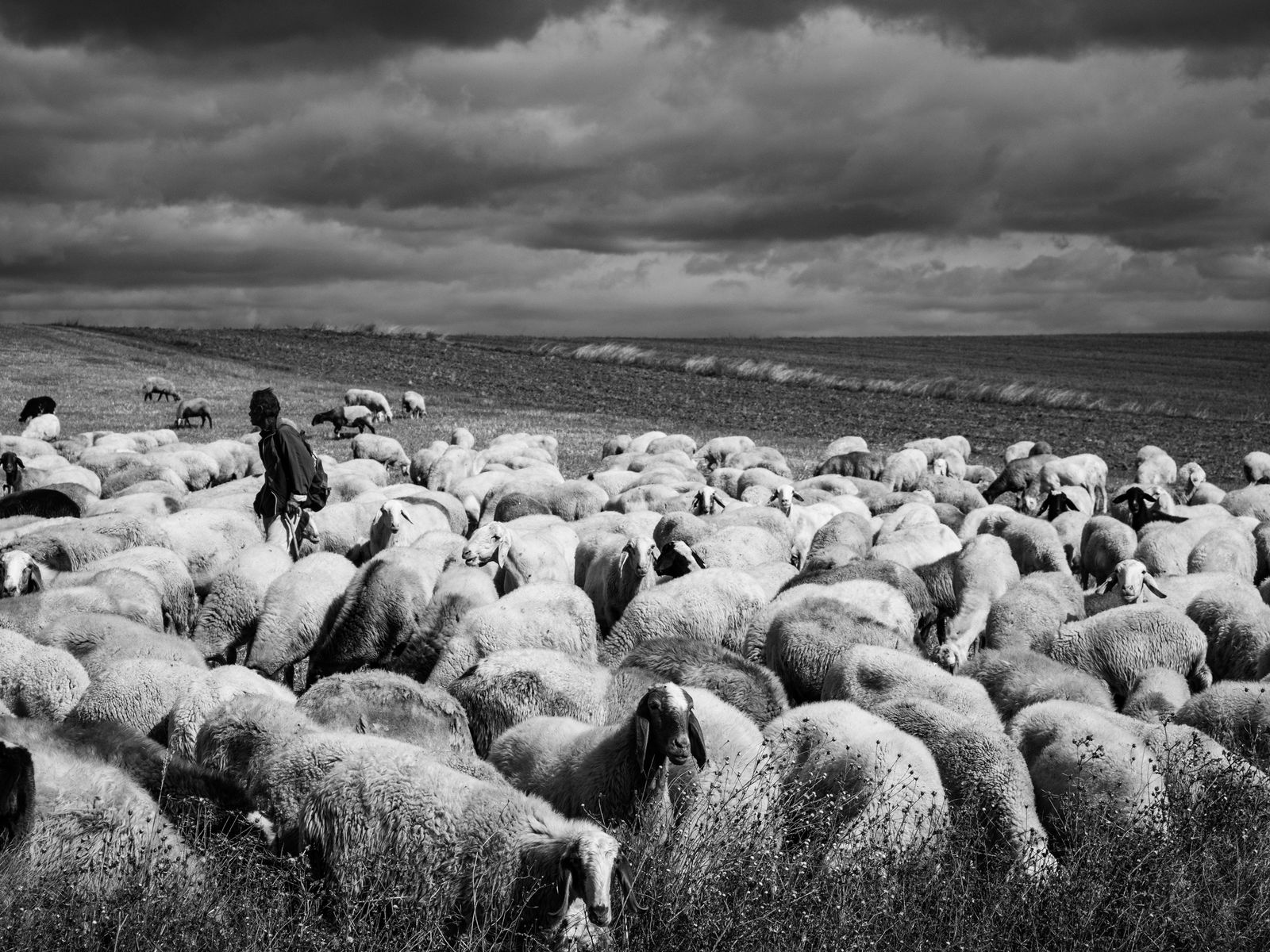 Fotografía de la exposición 'Pastores de ayer y hoy', de Luis Mendía