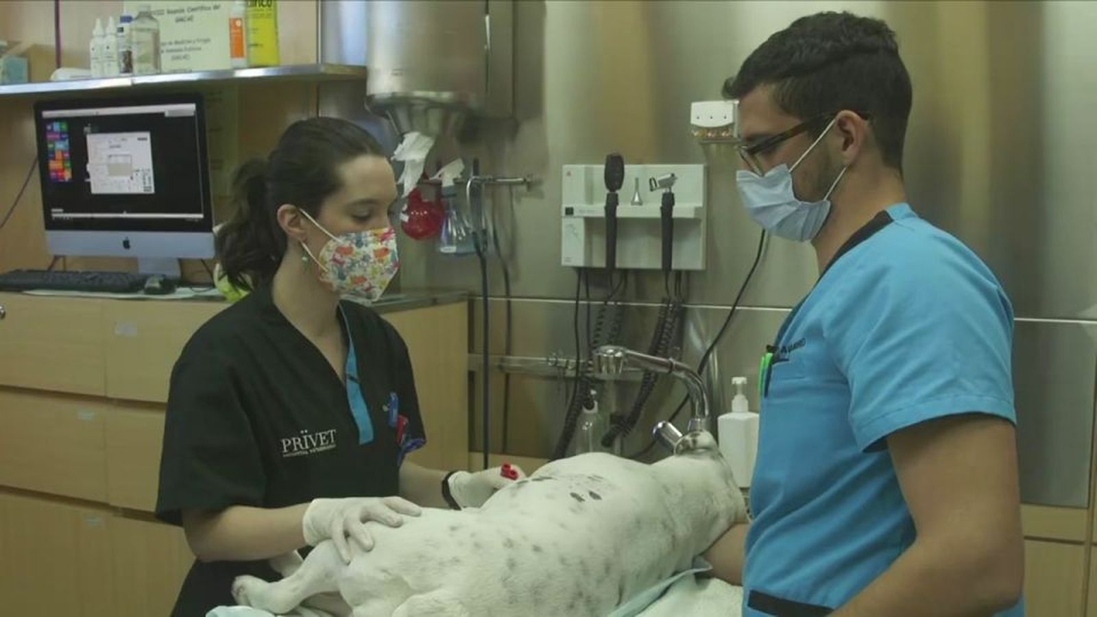 Hospital animal: Capítulo 1