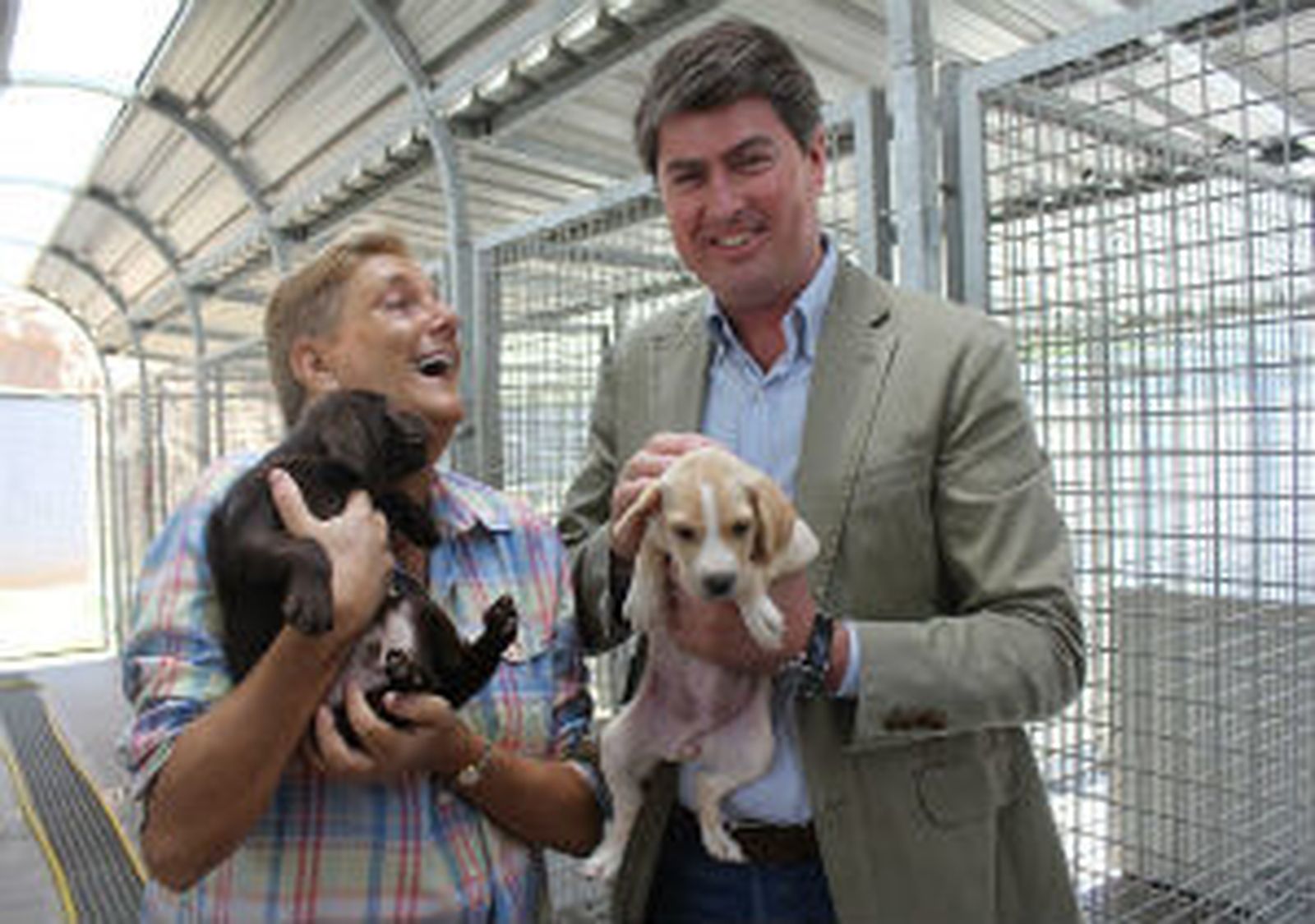 perros
