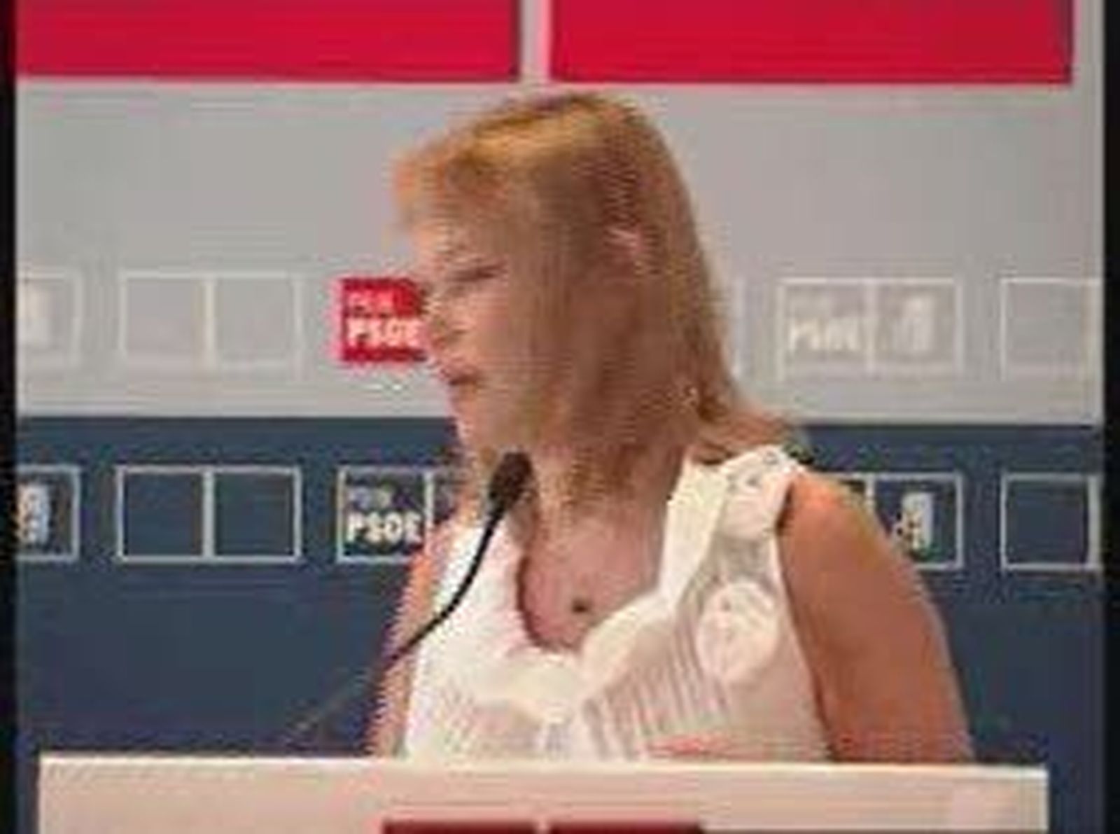 pajin_2010731V0.wmv