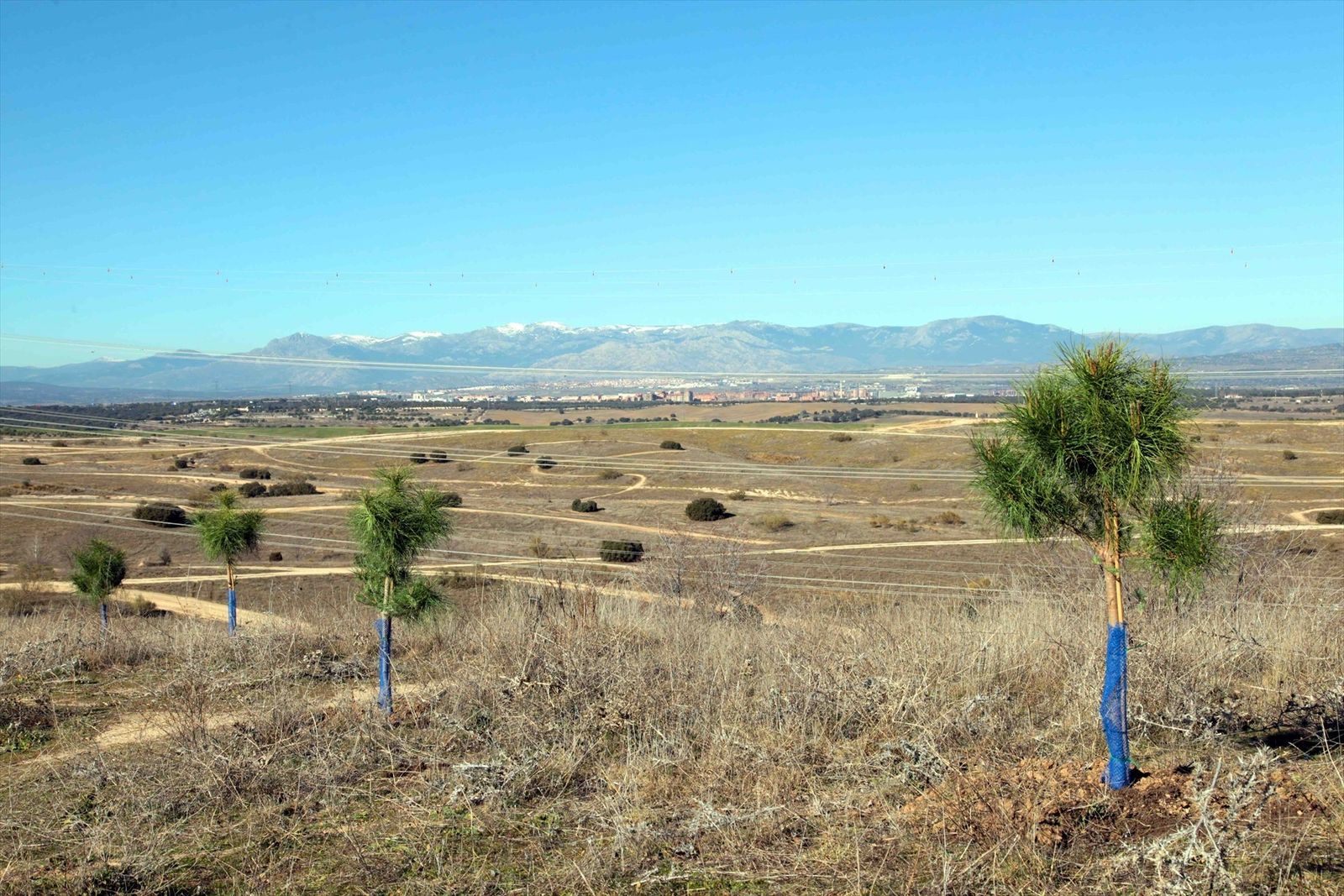 Terrenos del antiguo vertedero de Alcobendas en el que se va a desarrollar un parque forestal