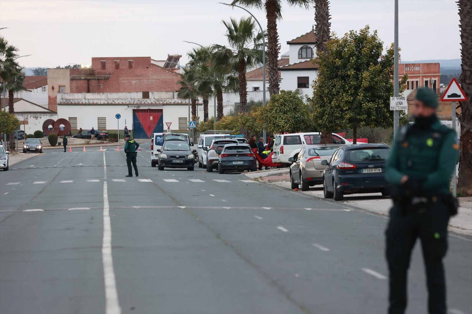 Los servicios funerarios y la Guardia Civil trabajan en el lugar del apuñalamiento de un joven en Gerena, Sevilla