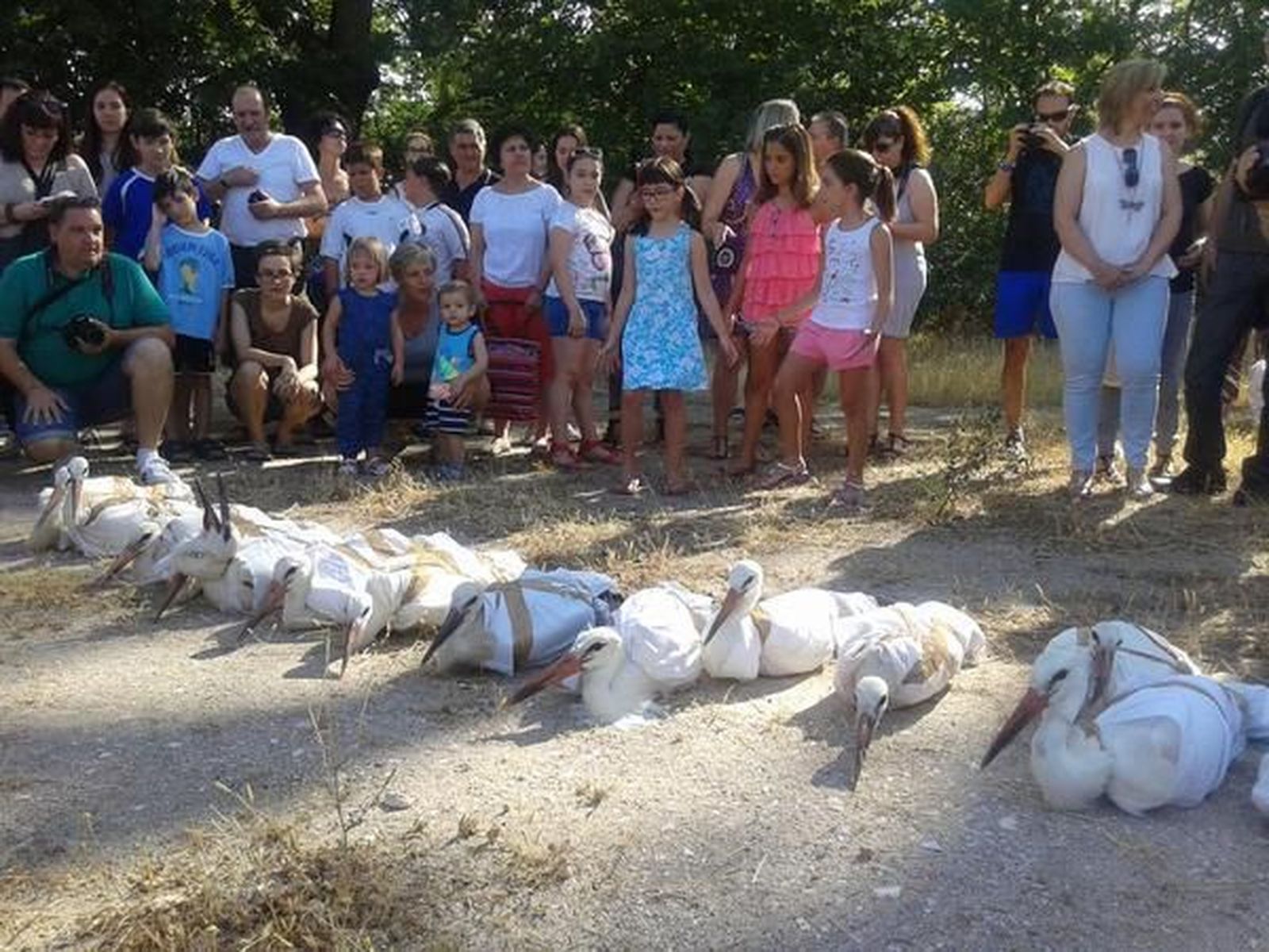 25 escolares protagonizan una suelta de cigüeñas en Alcalá