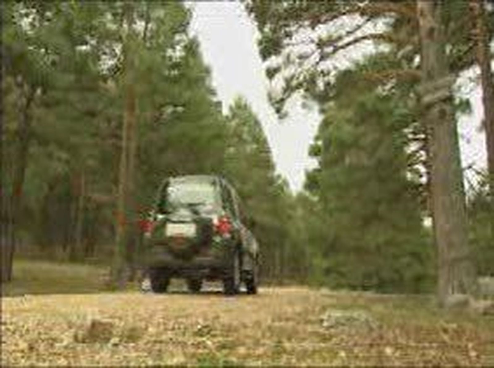 Nuevos vehículos para los Agentes Forestales