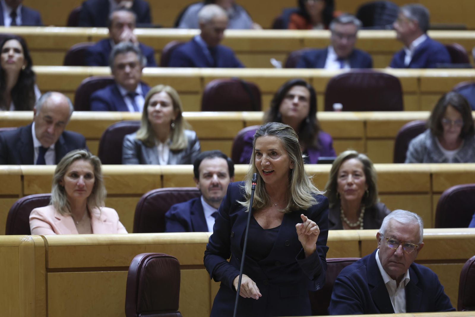 La portavoz del PP en el Senado, Alicia García