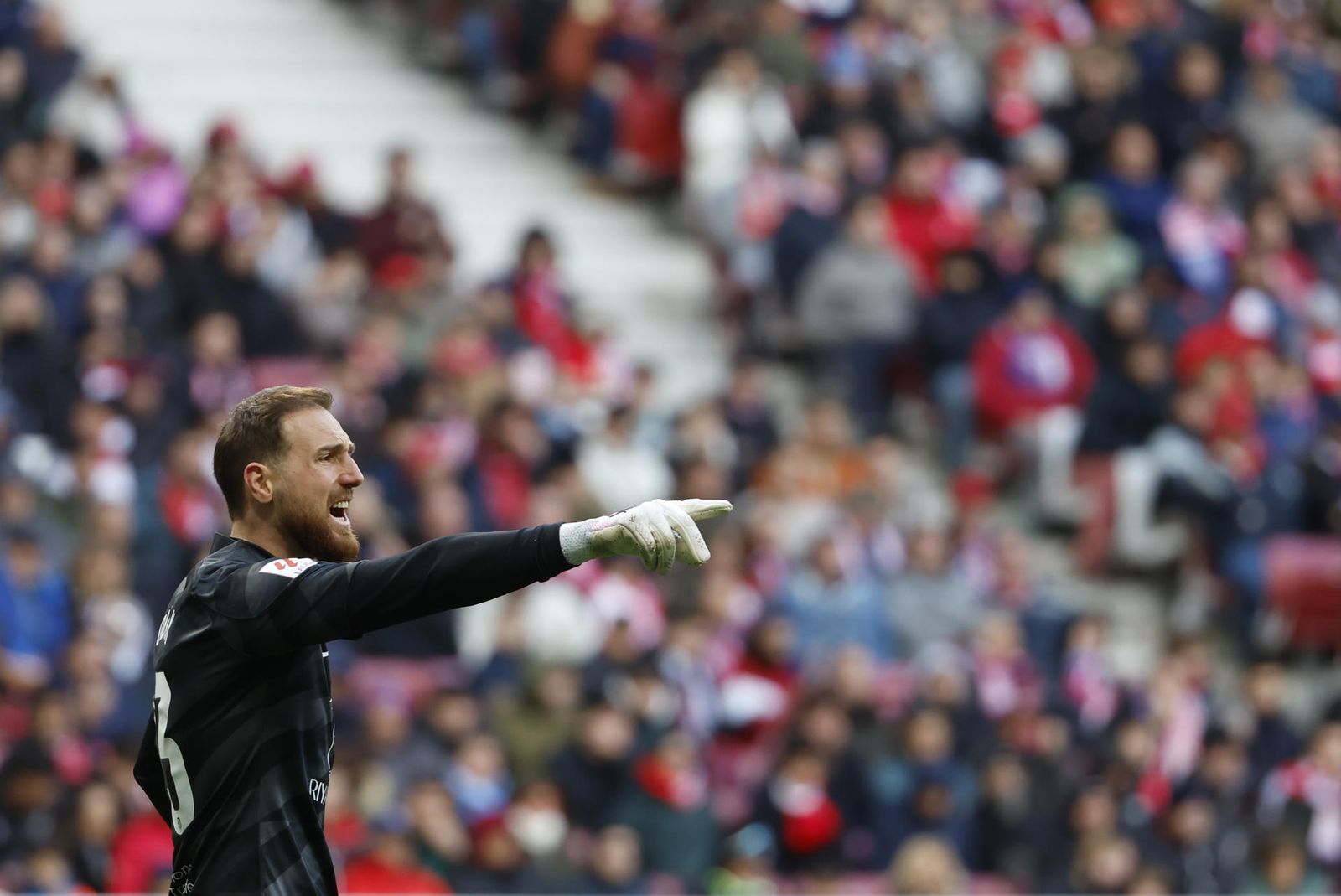 Oblak