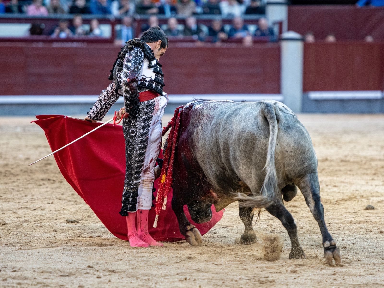 Emilio de Justo toreando en Las Ventas