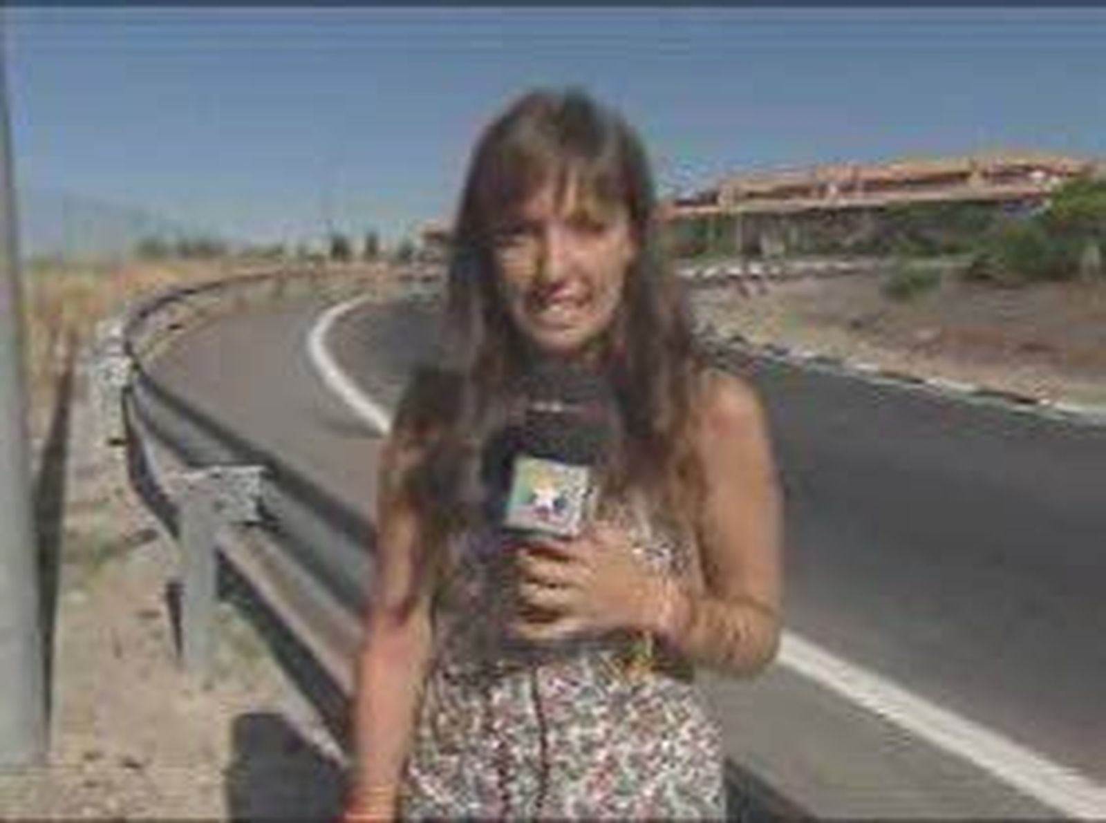 villaviciosa_2010824V0.wmv