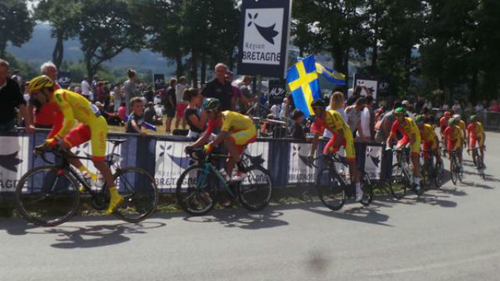 Selección española de ciclismo