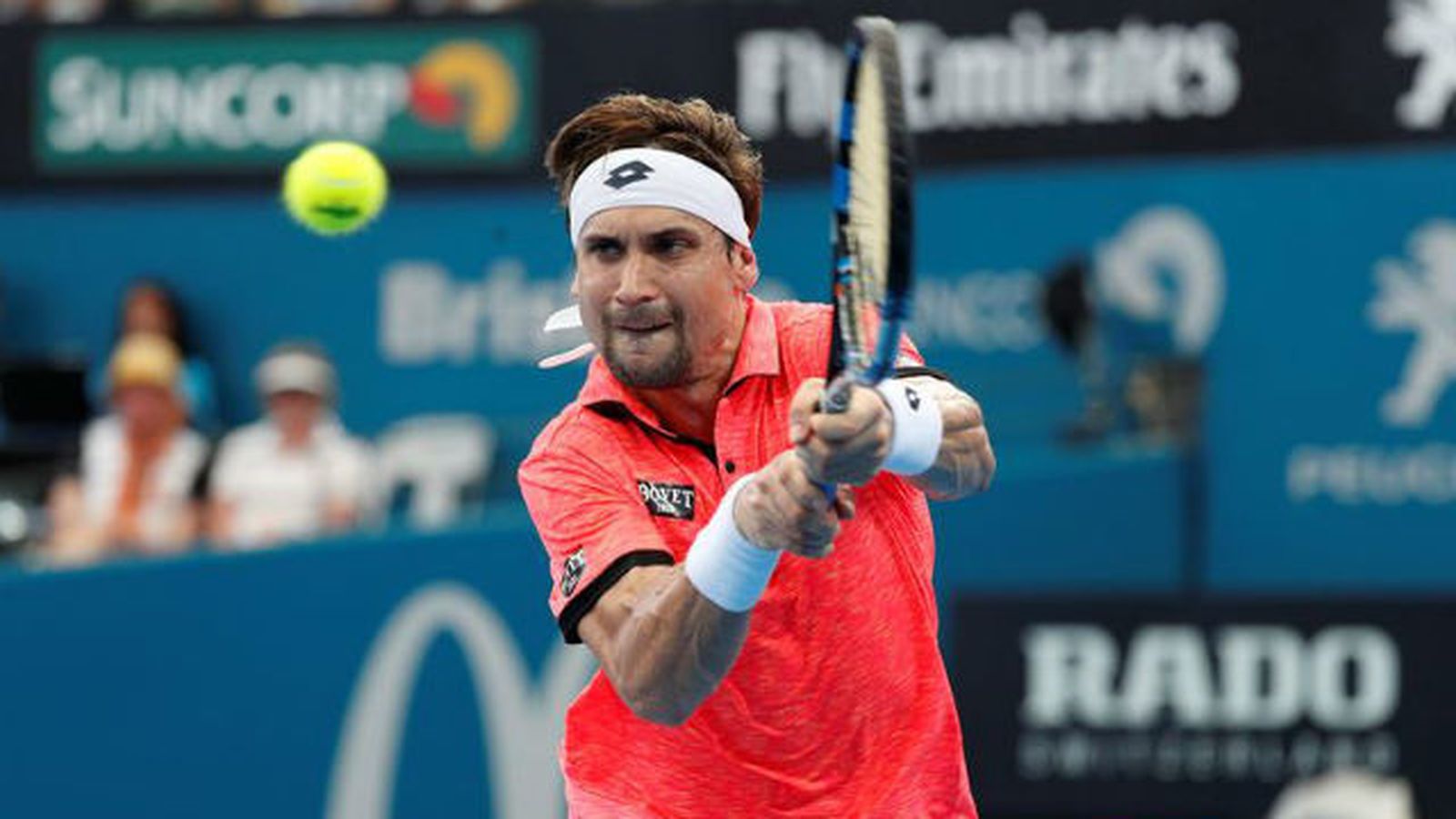 David Ferrer
