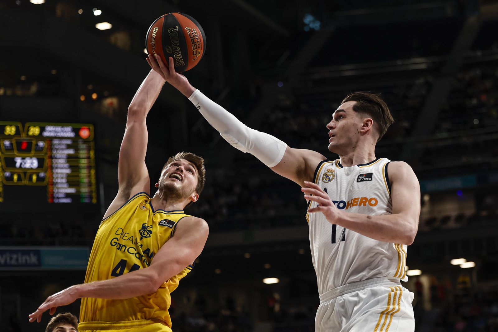 Hezonja