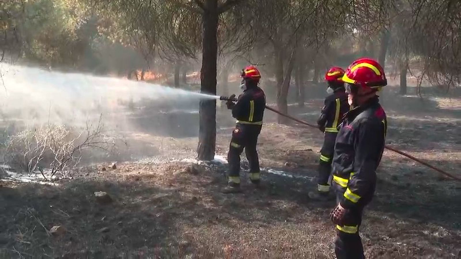 Controlado el incendio de Colmenar Viejo, que ha afectado a 160 hectáreas