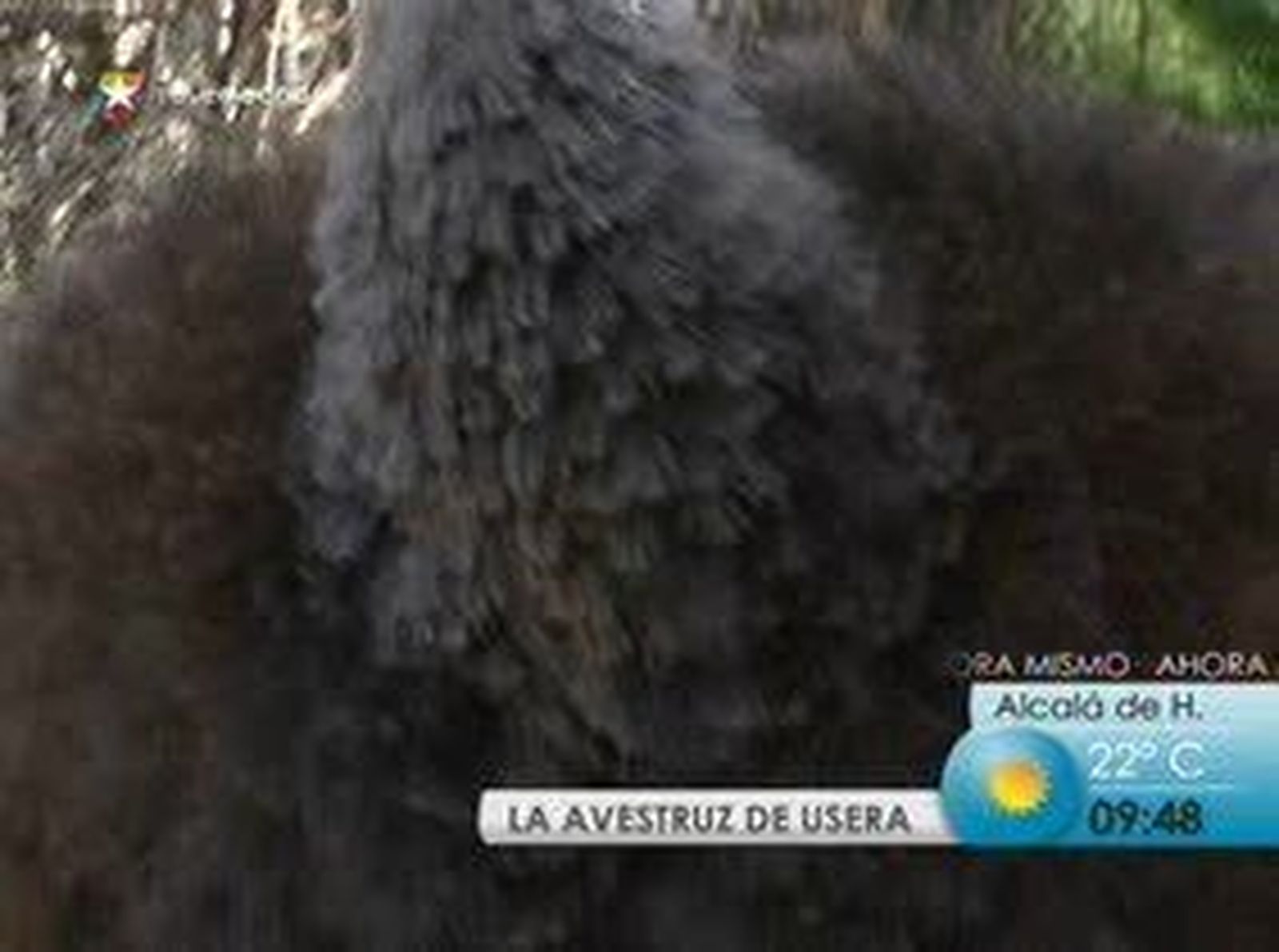 Maritrini, la más famosa de Usera