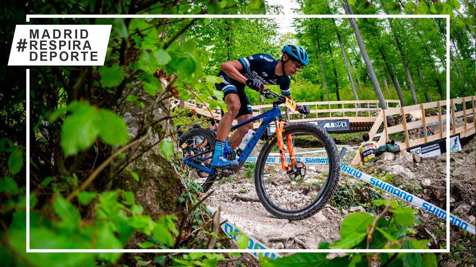 Mountain Bike
