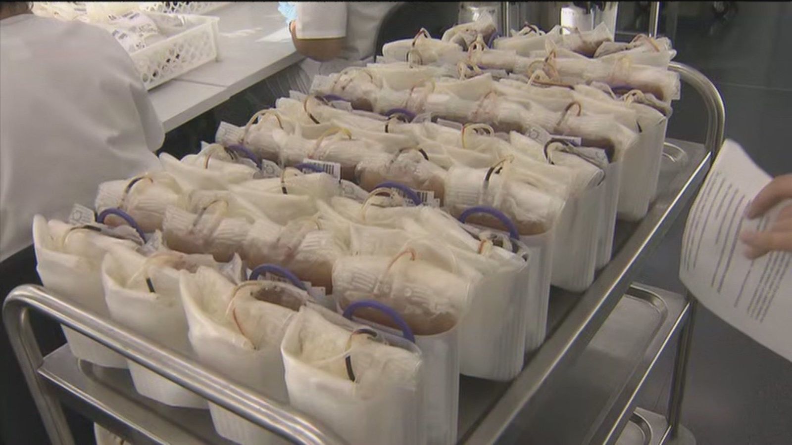 Madrid lanza un aviso: "Necesitamos vacaciones. Necesitamos donaciones de sangre"