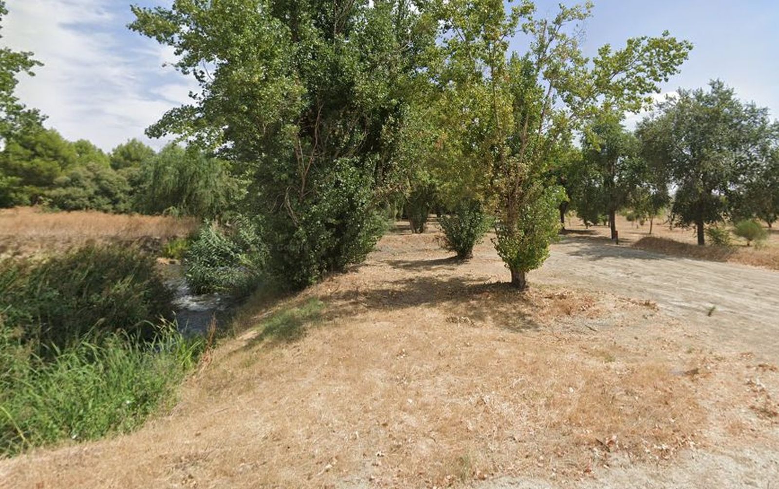 Entorno natural del Arroyo Culebro en Pinto