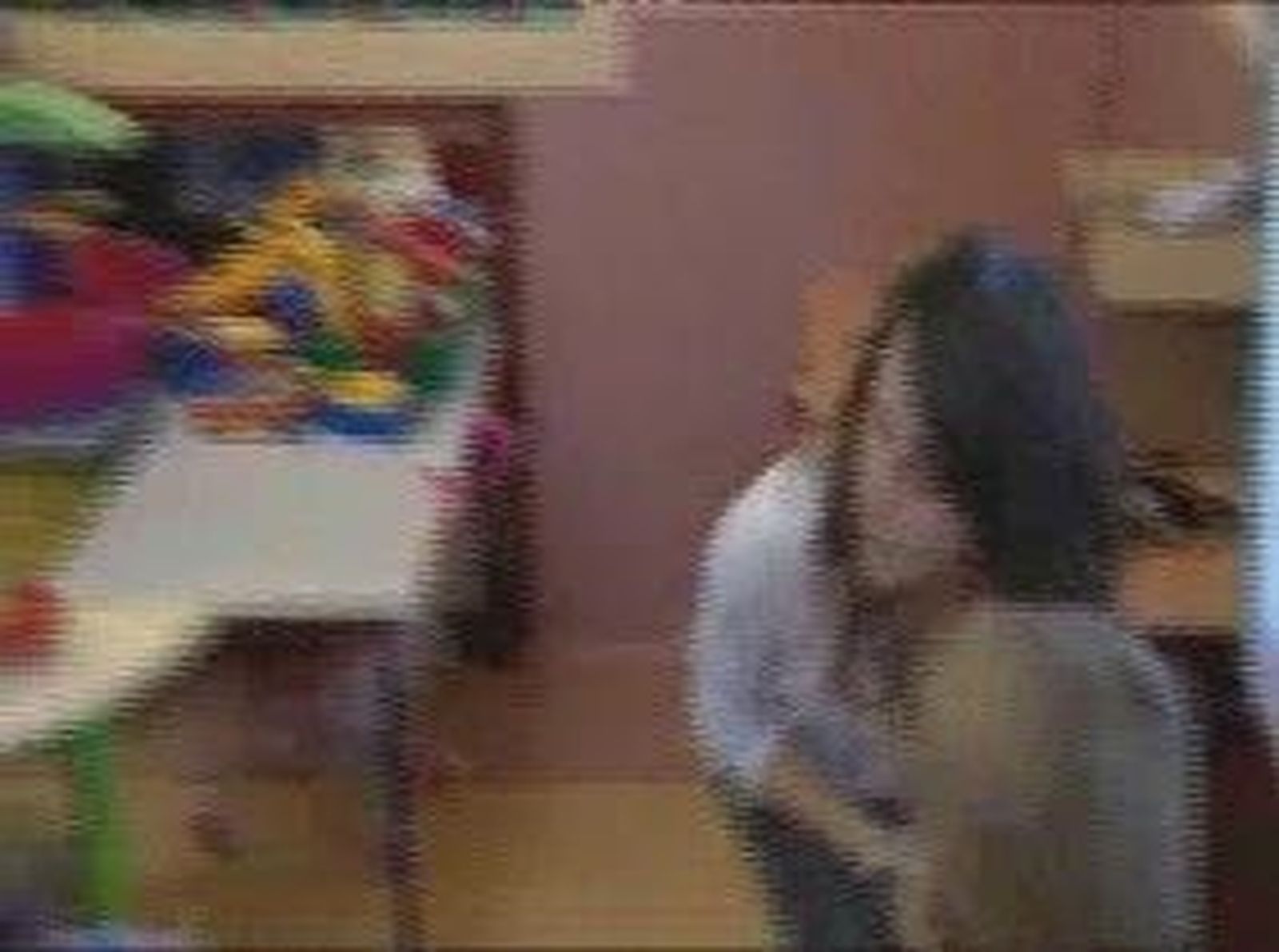 Aguirre colegio