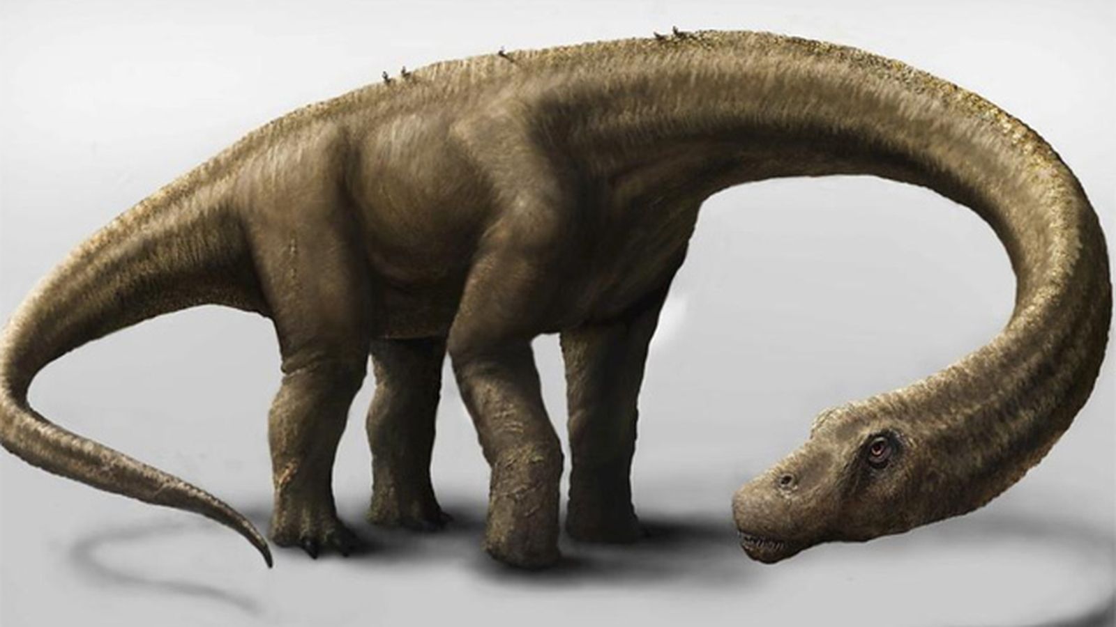 dinosaurio_3456