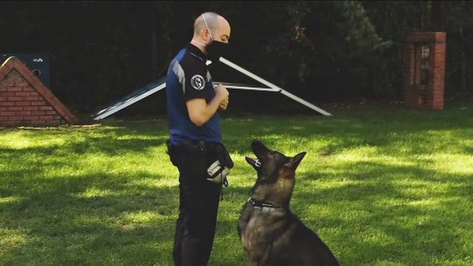 Conocemos la sección canina de la Policía Municipal