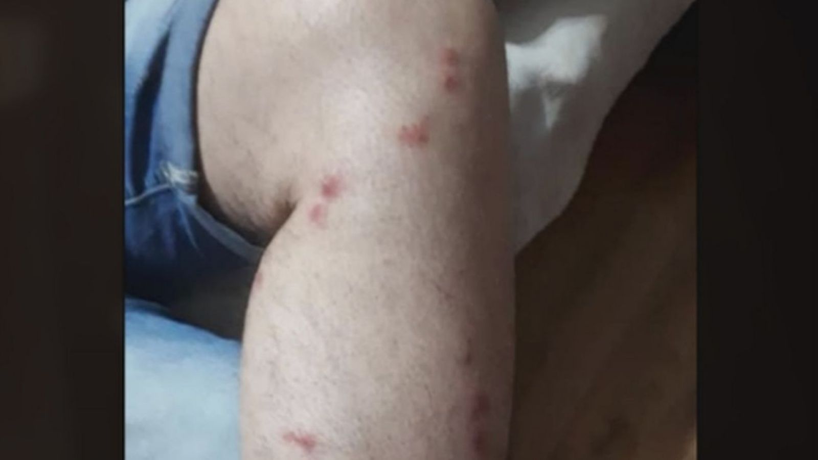 Preocupación por la plaga de mosquitos en Velilla de San Antonio