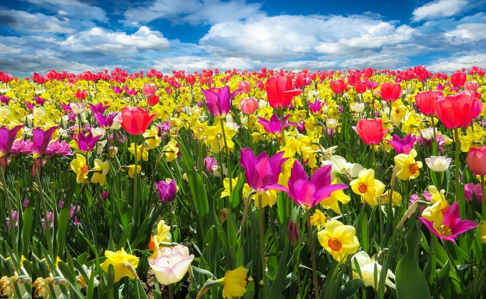 La AEMET pronostica una primavera escasa en precipitaciones y más templada de lo normal
