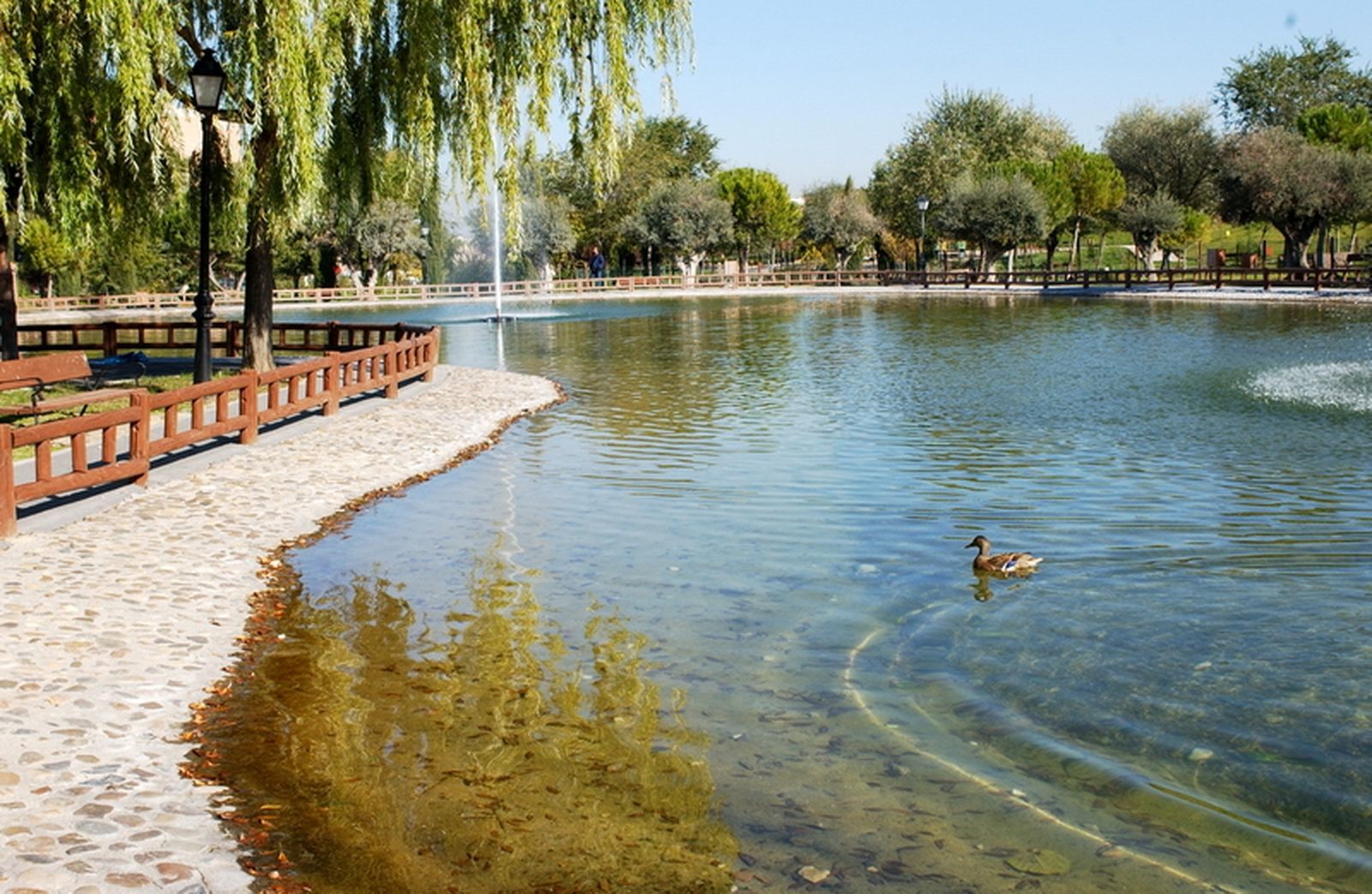 Parque Enrique Tierno Galván, en Valdemoro