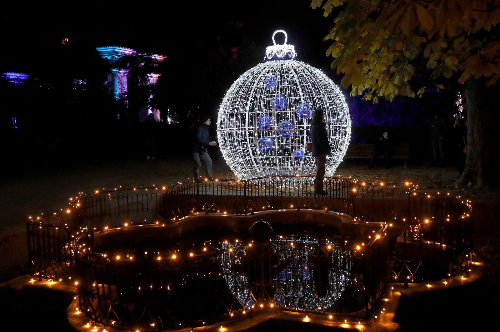 Bronca y enfados para ver gratis las luces de Navidad del Jardín Botánico