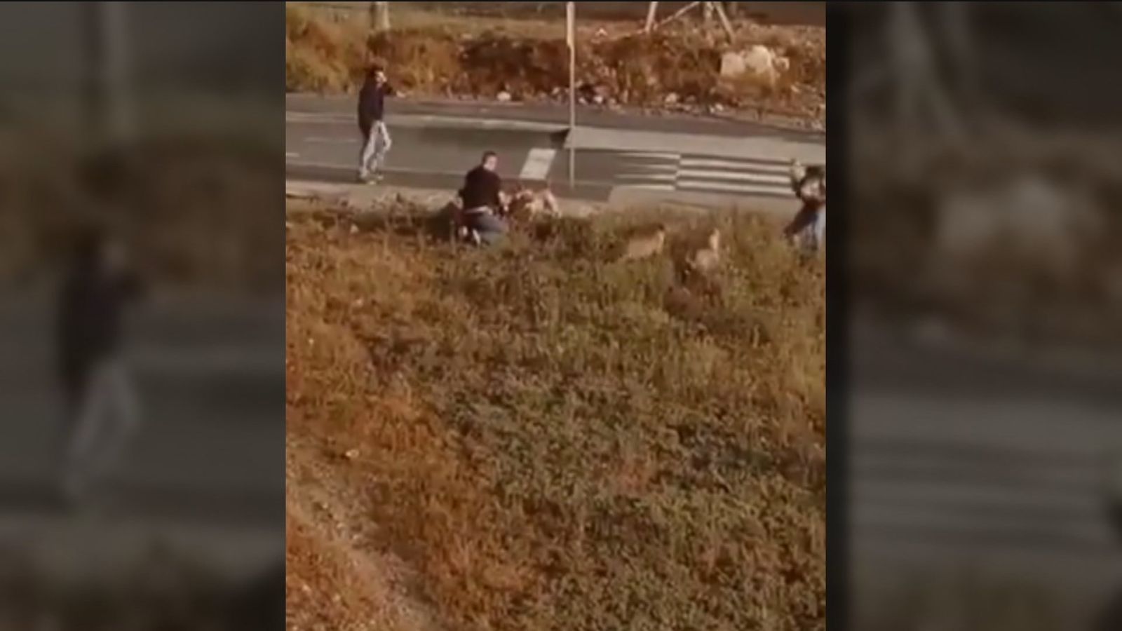 Momento en el que la policía dispara a tres perros