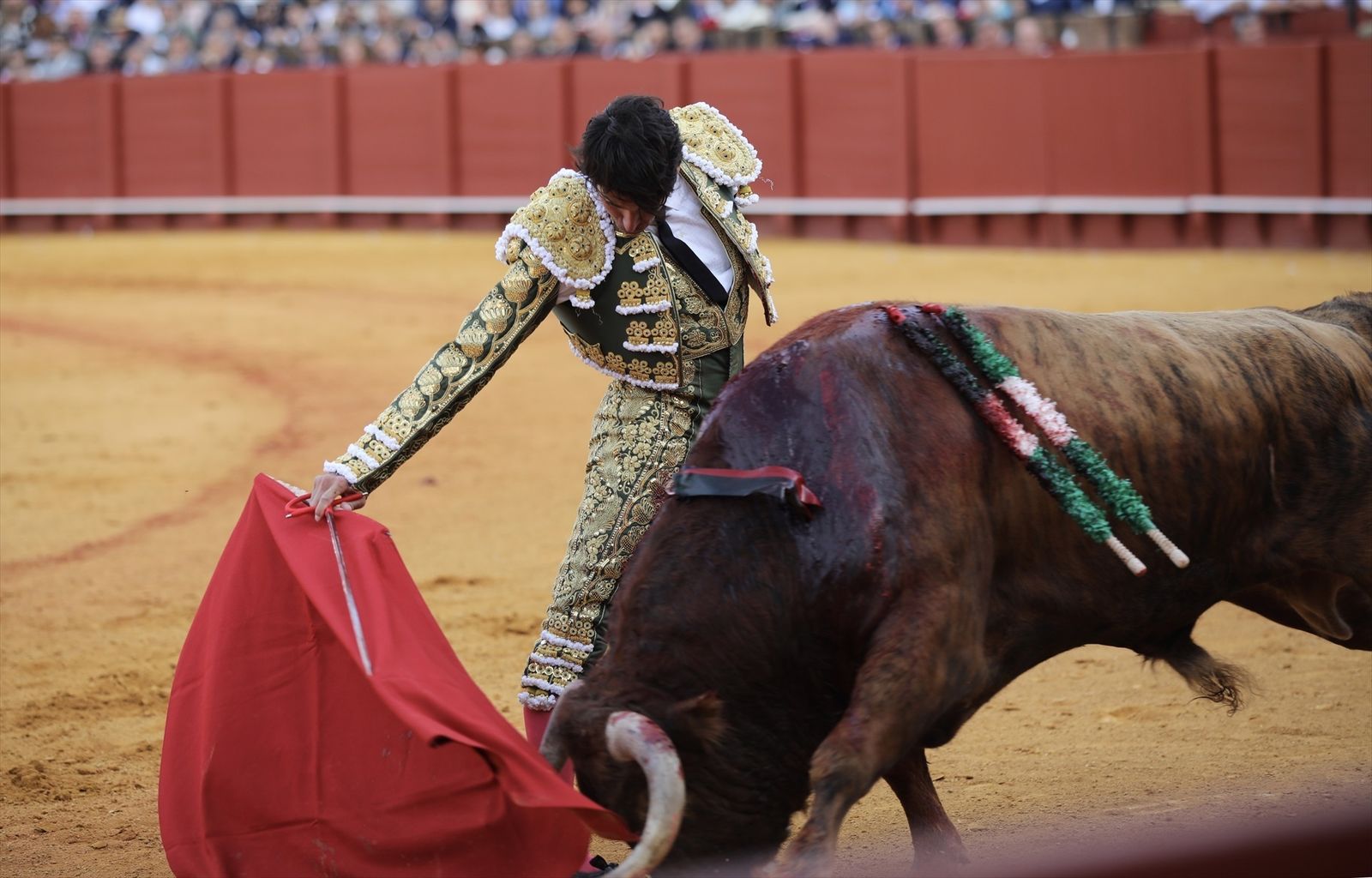Cayetano Rivera Ordóñez