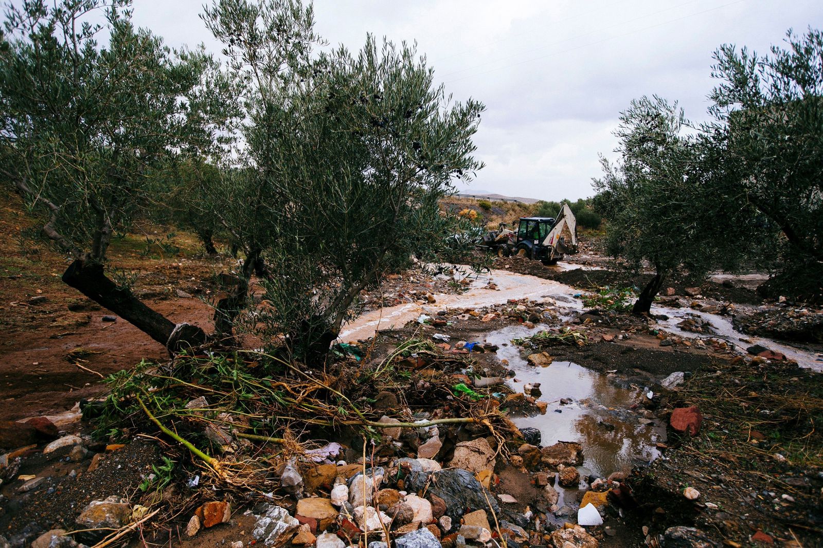 El temporal mantiene en alerta a 20 provincias por intensas lluvias y fuerte viento