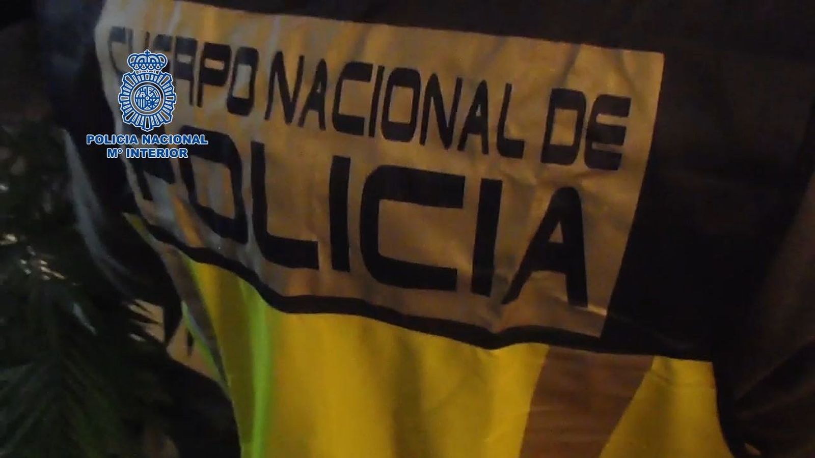 Detenido un hombre en Gijón por acosar a menores en redes sociales