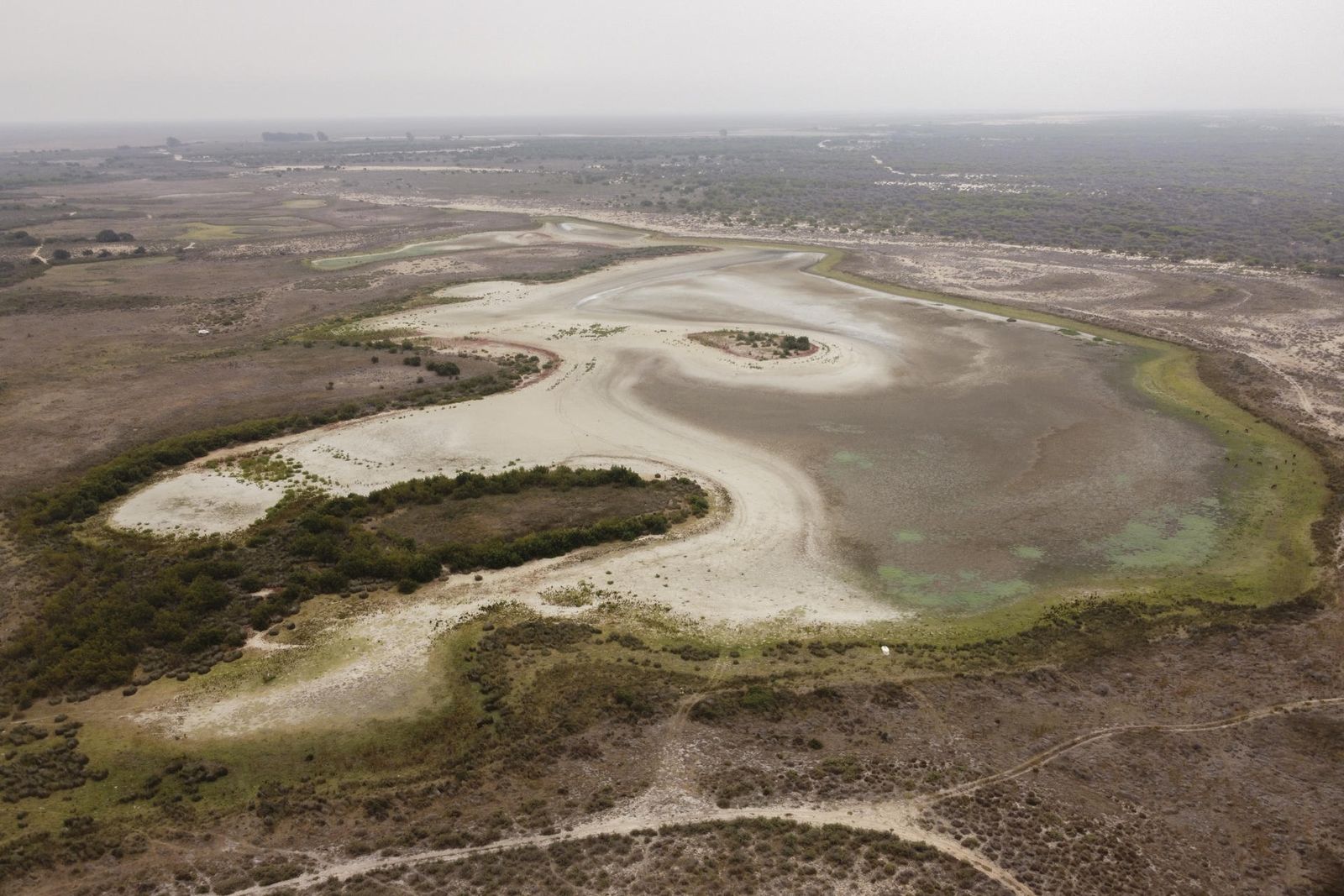 Doñana se seca