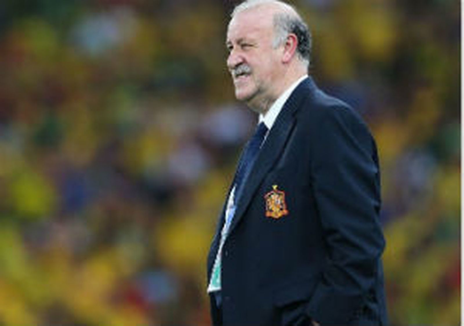 Vicente del Bosque, seleccionador español