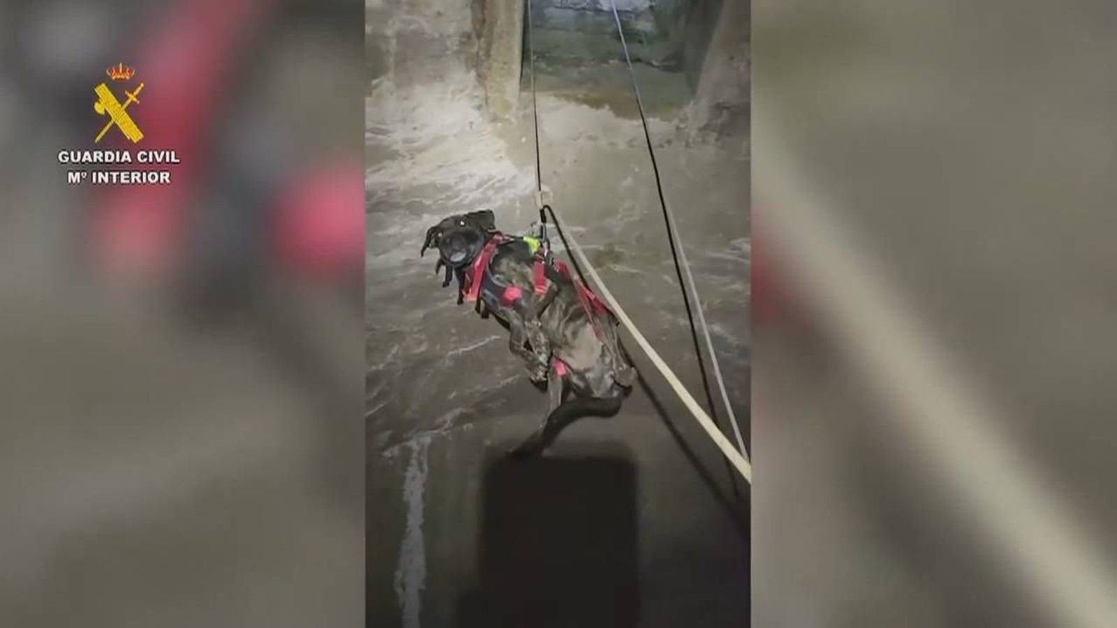VÍDEO: Rescatan a un perro encerrado en un aljibe a ocho metros de profundidad con una reja atornillada al suelo