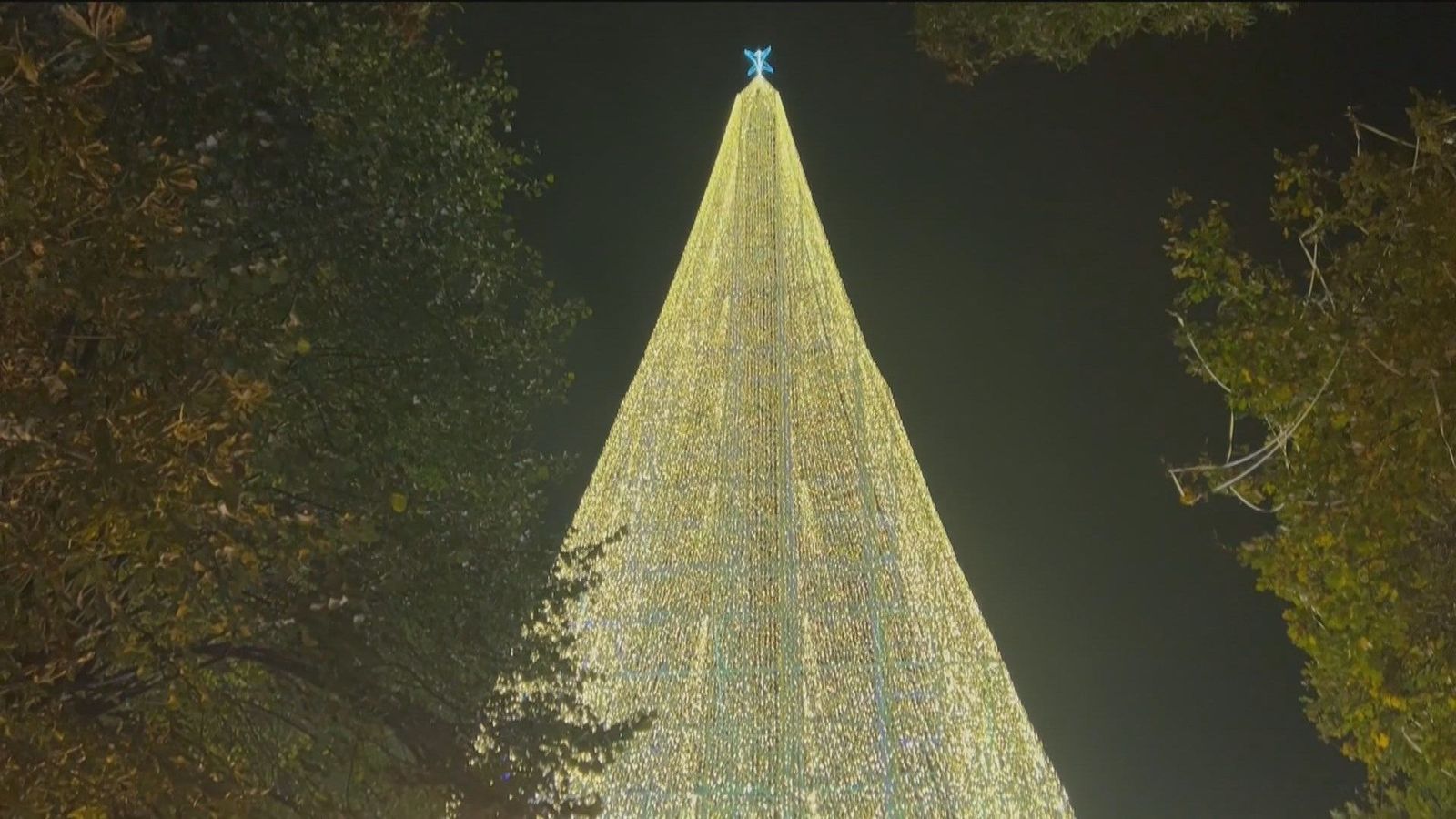 El árbol de Navidad más alto de Europa está en Cantabria