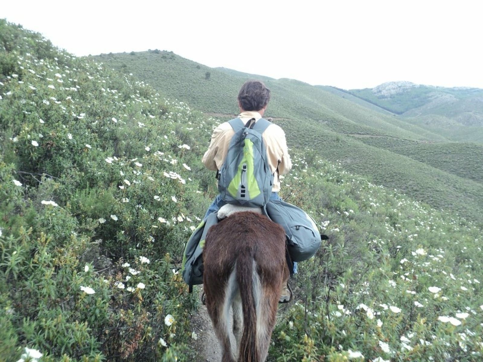 La Senda del Genaro en burro