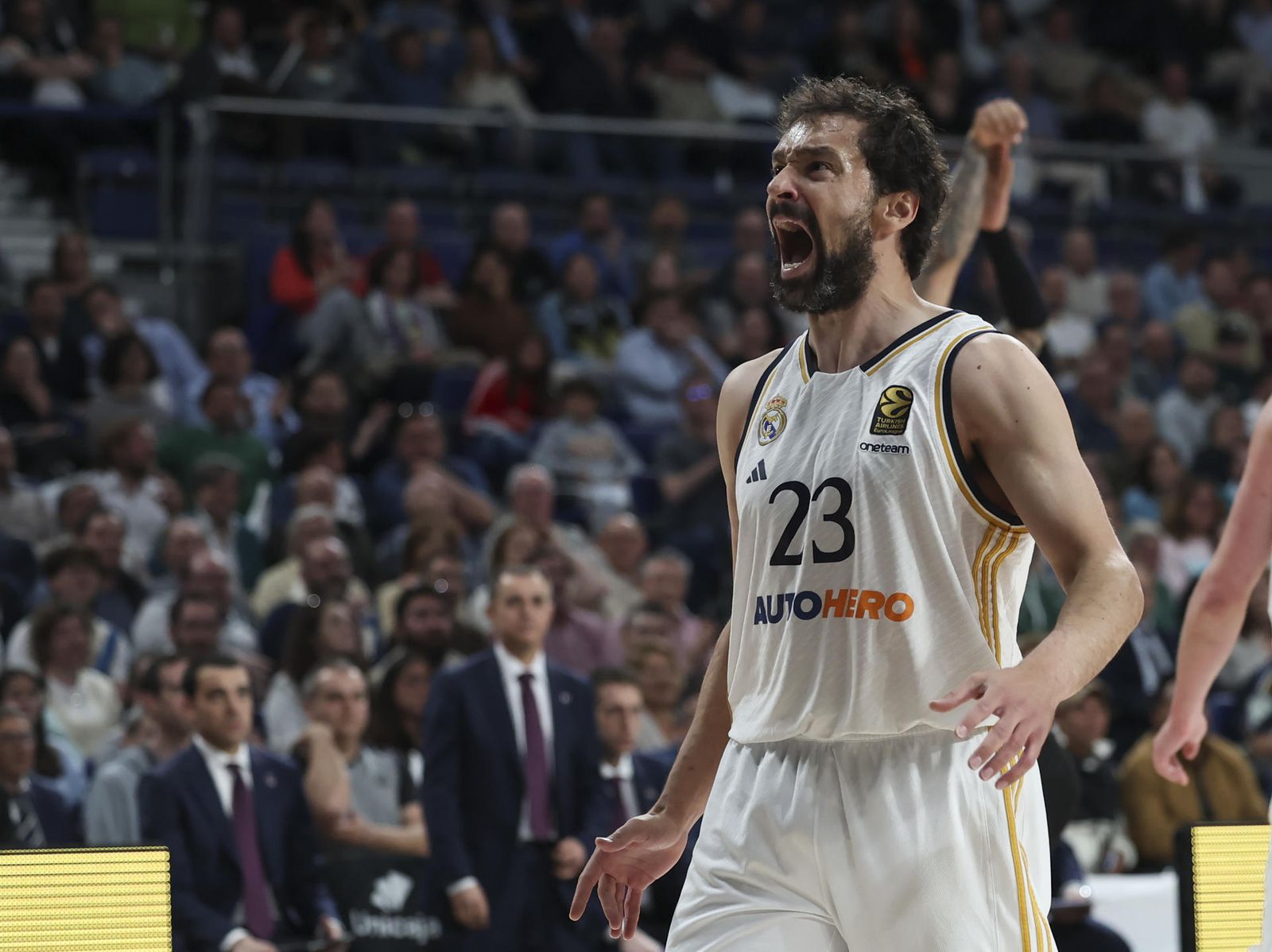 Sergio Llull