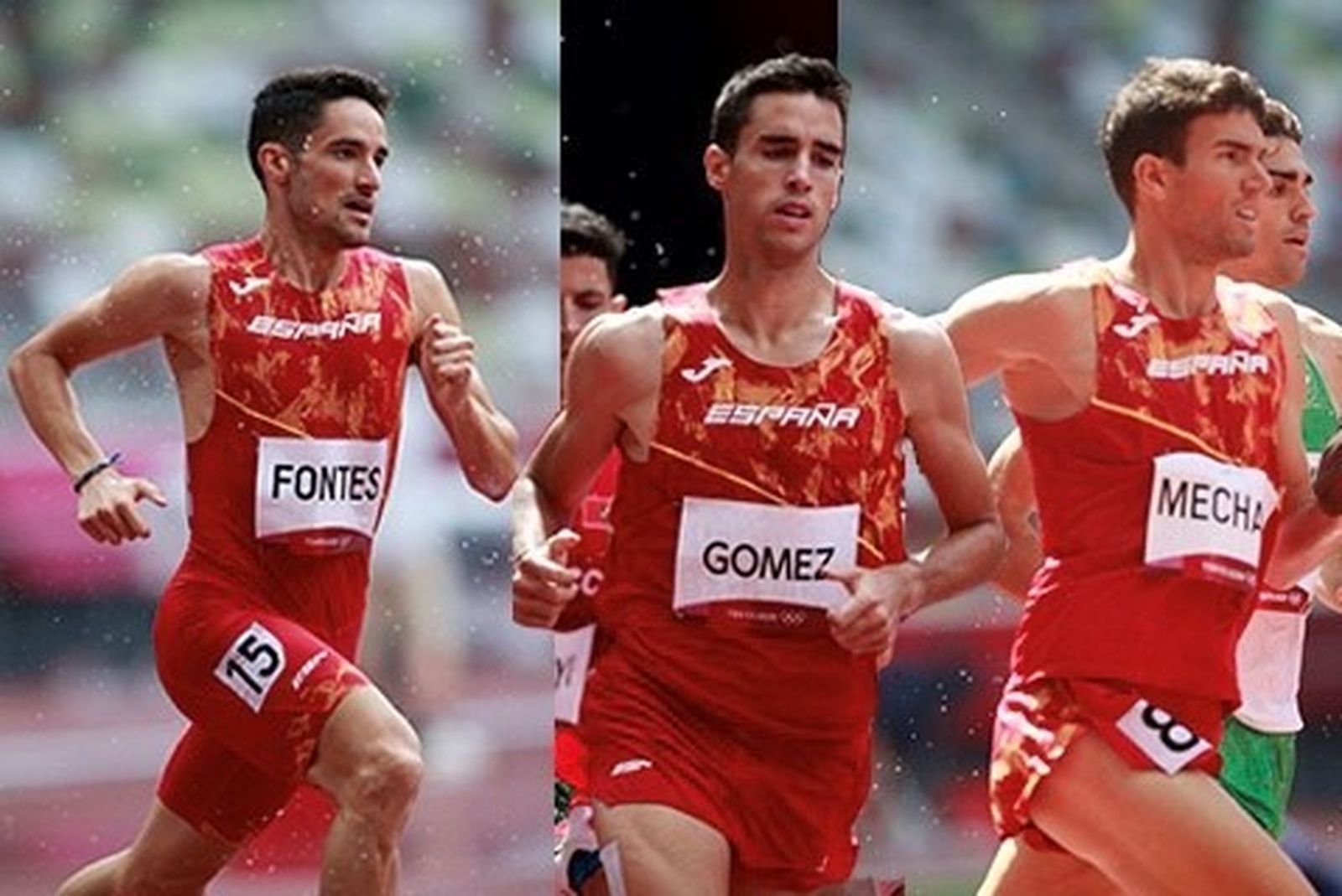 Mechaal, Fontes y Gómez