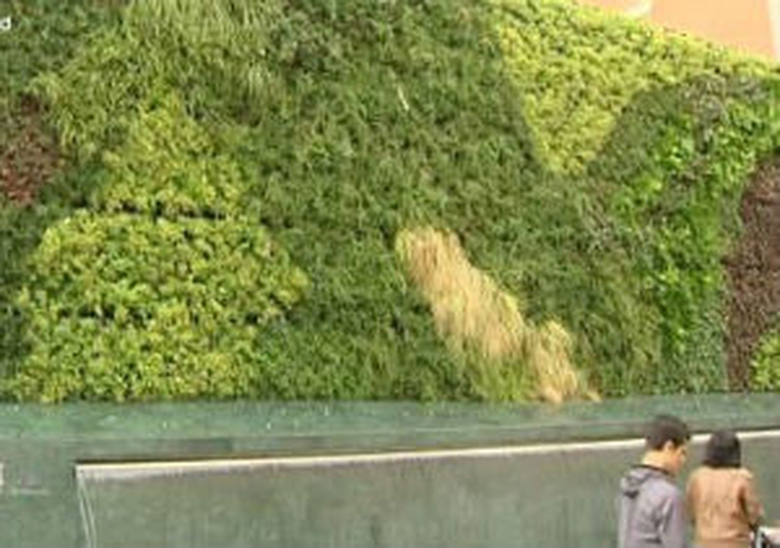 Jardín Vertical