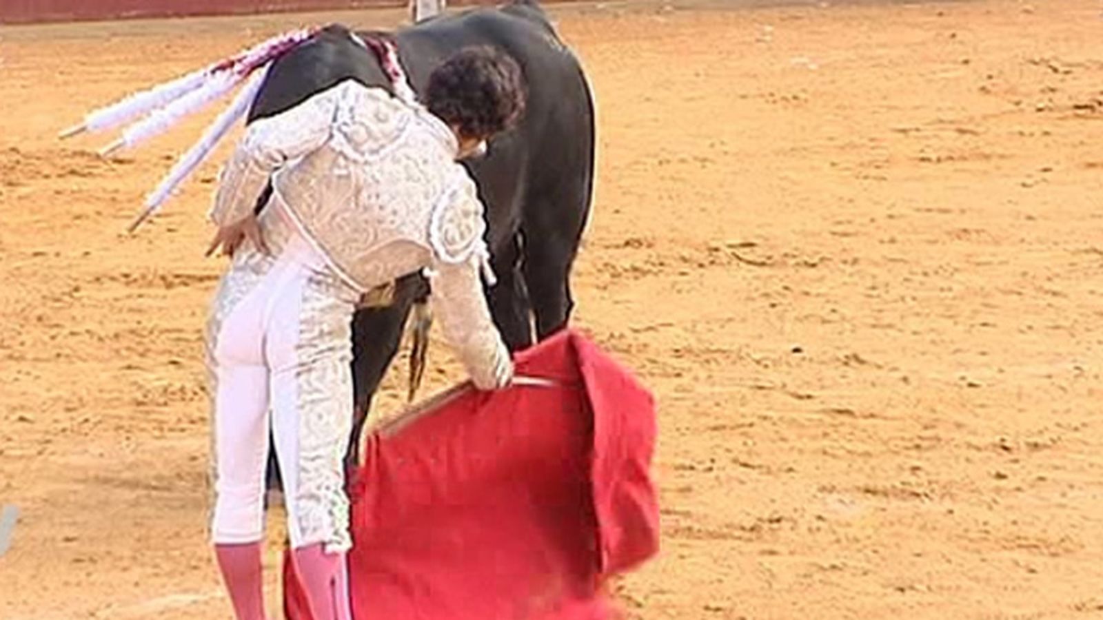 toros_abellan