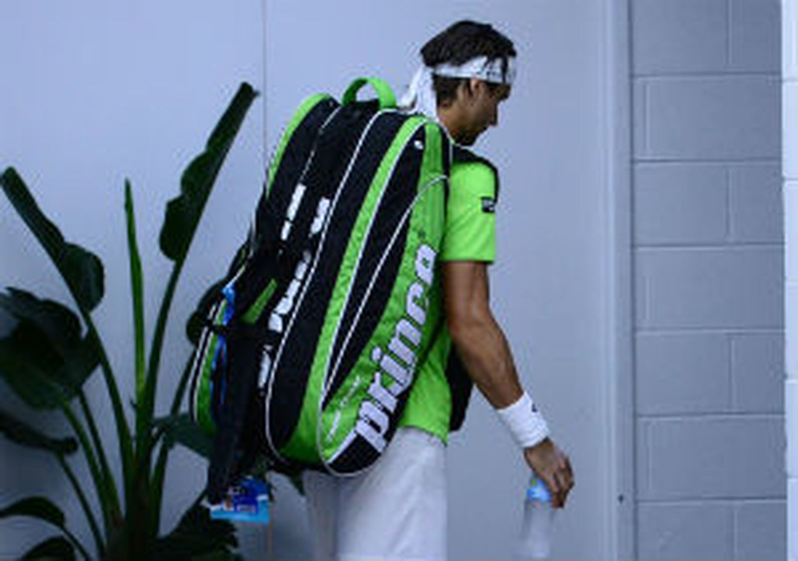 David Ferrer se despide